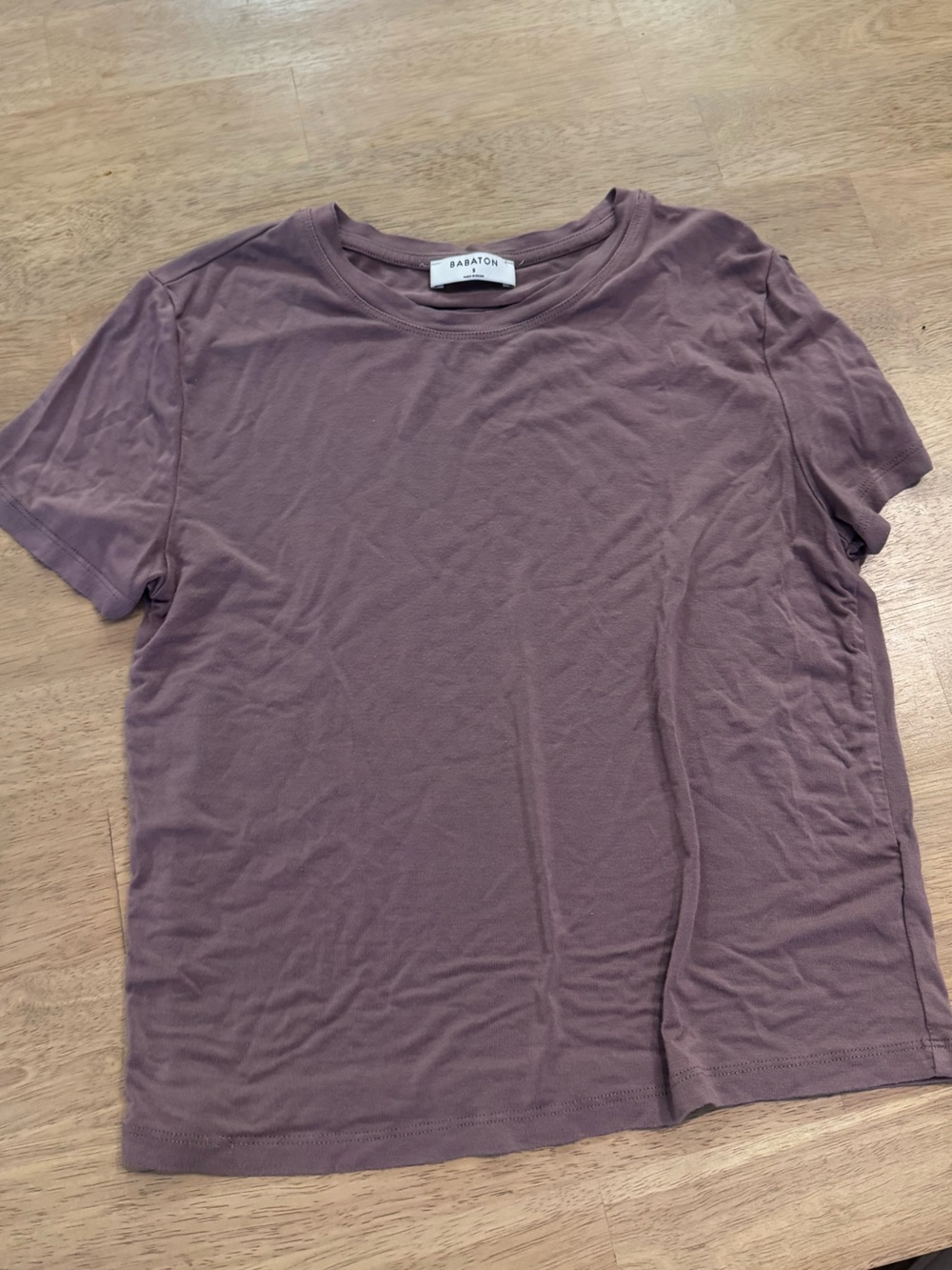 Babaton Aritzia tee